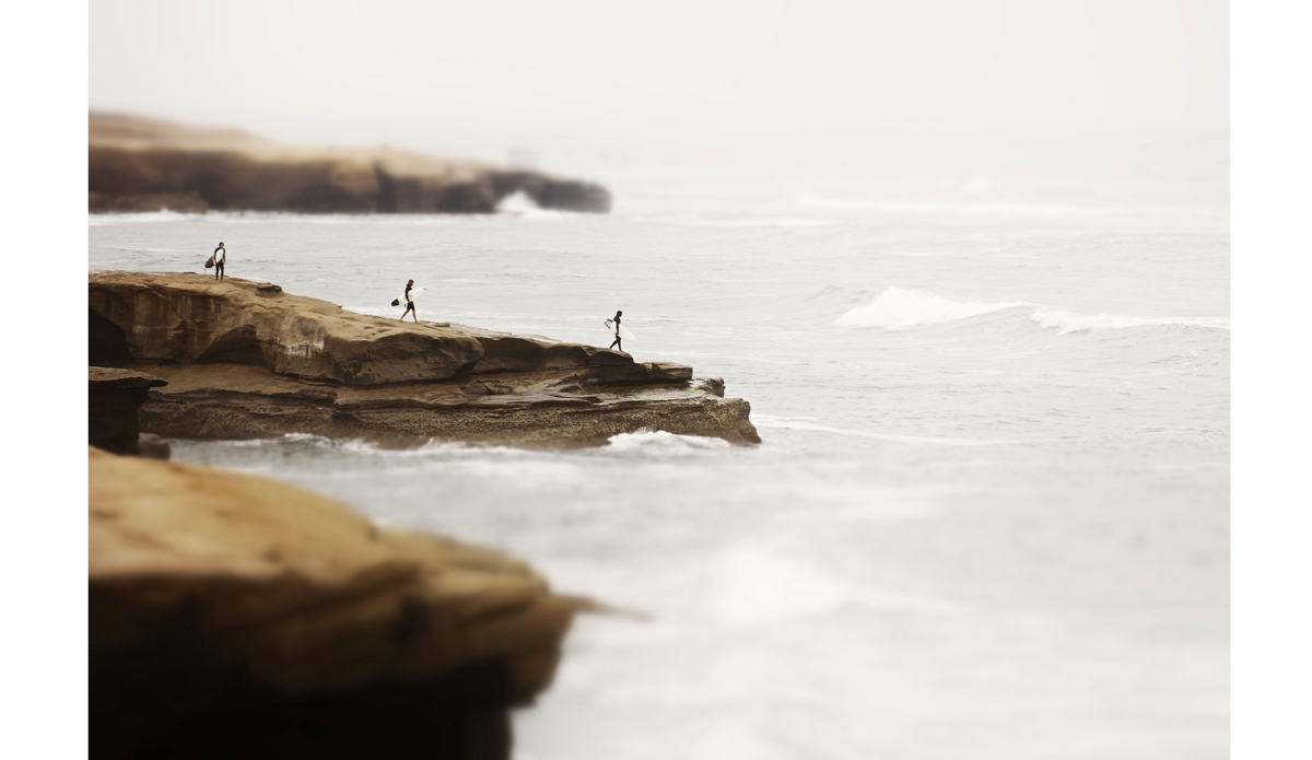 Follow Photo: <a href=\"https://beachradishimages.com/\">beachradish images</a>