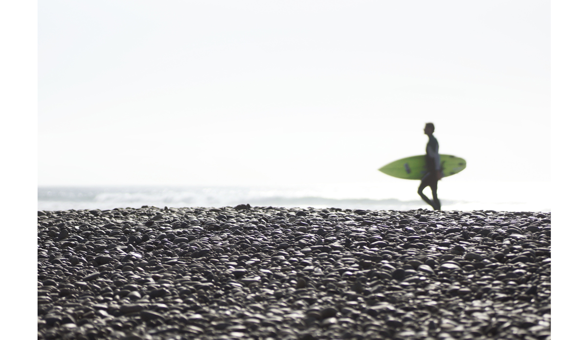 Green Room Photo: <a href=\"https://beachradishimages.com/\">beachradish images</a>