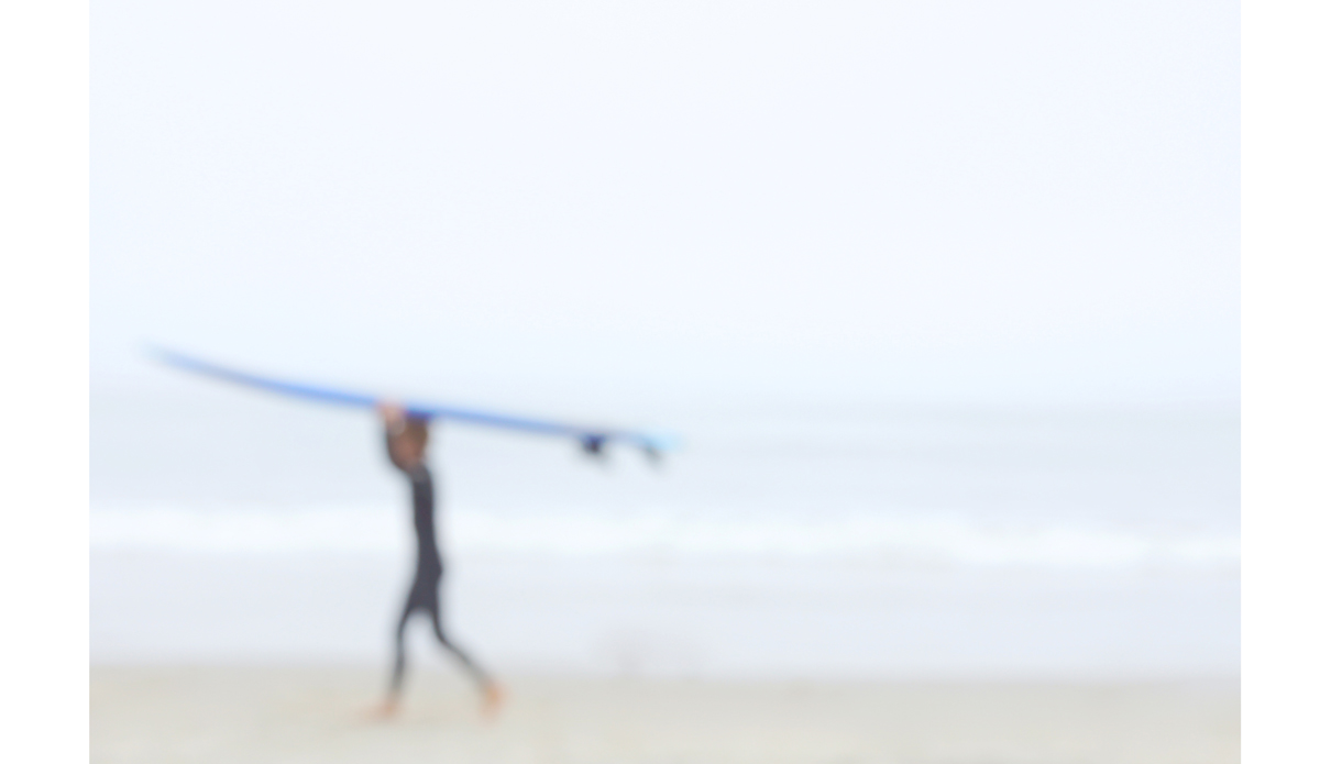 Grommet Photo: <a href=\"https://beachradishimages.com/\">beachradish images</a>