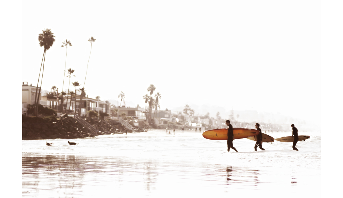 Saturday Photo: <a href=\"https://beachradishimages.com/\">beachradish images</a>