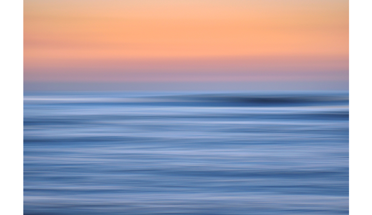 Sherbet Photo: <a href=\"https://beachradishimages.com/\">beachradish images</a>