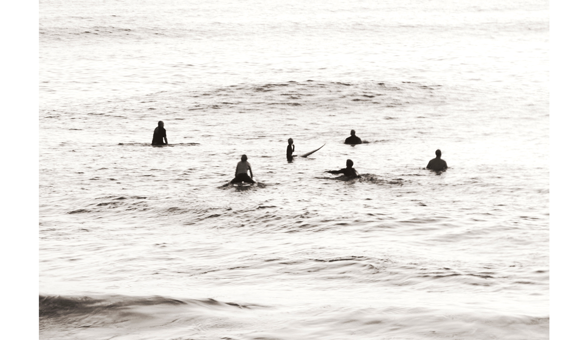 Wait Photo: <a href=\"https://beachradishimages.com/\">beachradish images</a>