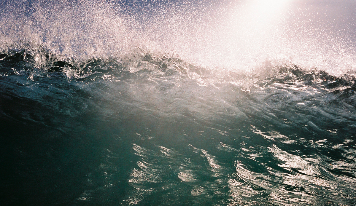 Photo: Andrew Jimenez