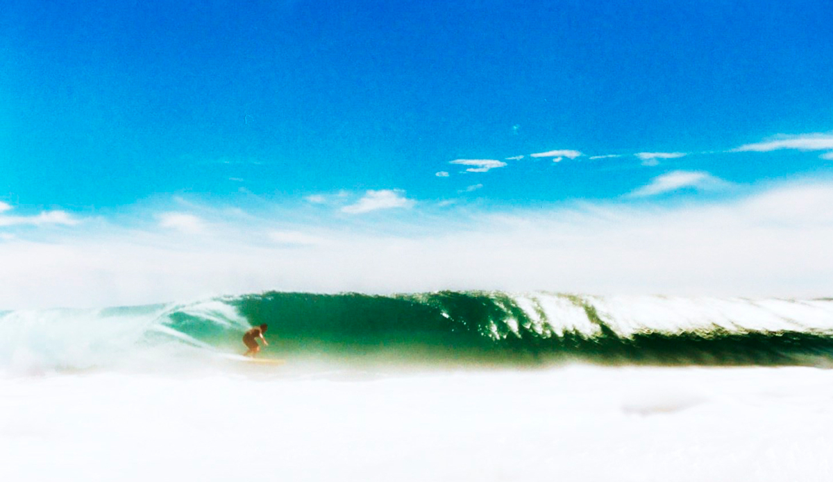 Photo: William Holder