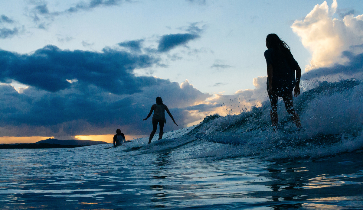  Unknown. Photo: <a href=\"https://www.robbiedark.com\">Robbie Dark</a>