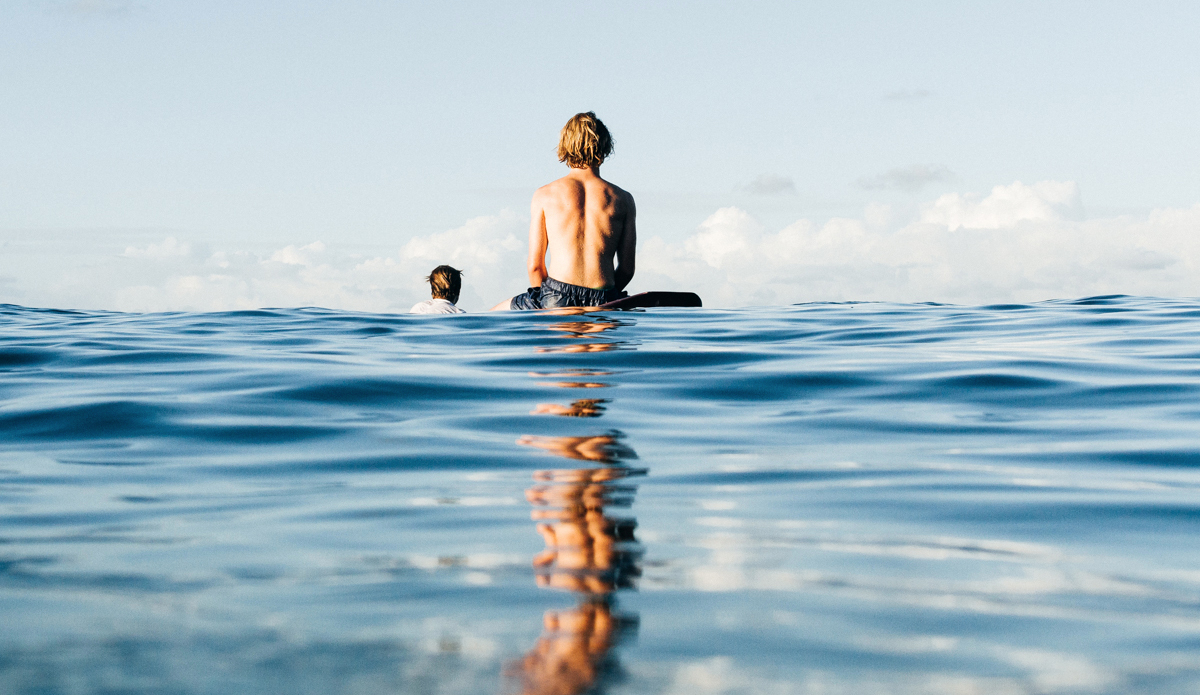 Unknown. Photo: <a href=\"https://www.robbiedark.com\">Robbie Dark</a>