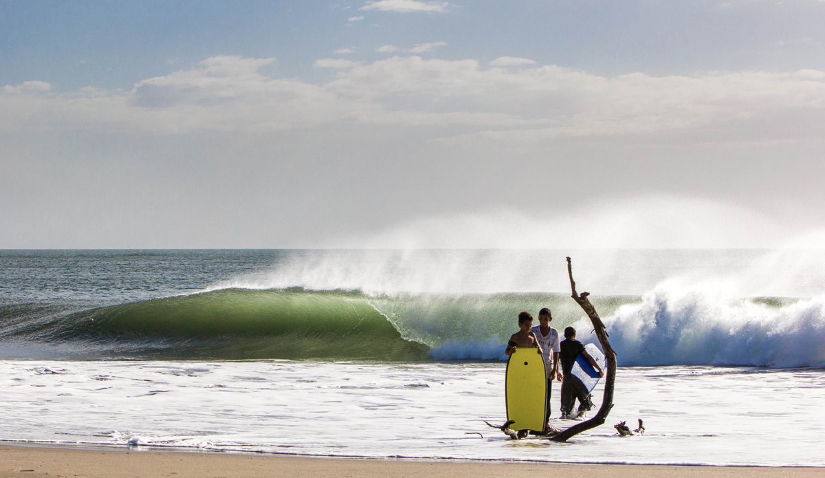 Photo: <a href=\"https://instagram.com/thefrogeye\"> Alex Postigo</a>