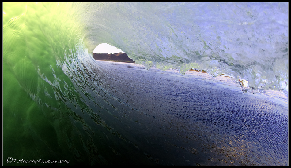 You could drive a broom stick through these barrels. Photo: Trevor Murphy