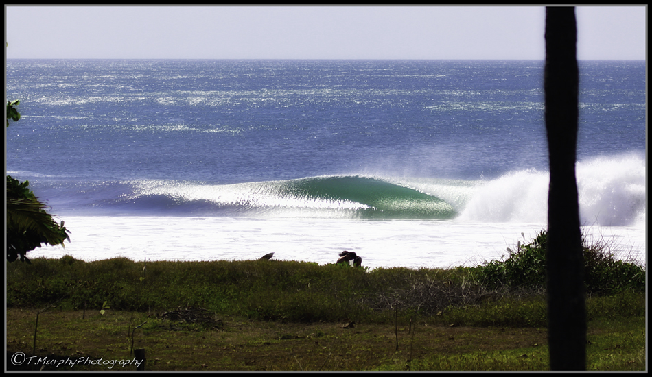 It\'s not on the menu, but it looks delicious. Lunch break at the Hotel. Photo: Trevor Murphy