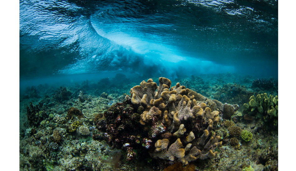 Photo:<a href=\"https://www.robsonimages.com/#!/index\">Ryan Robson</a>