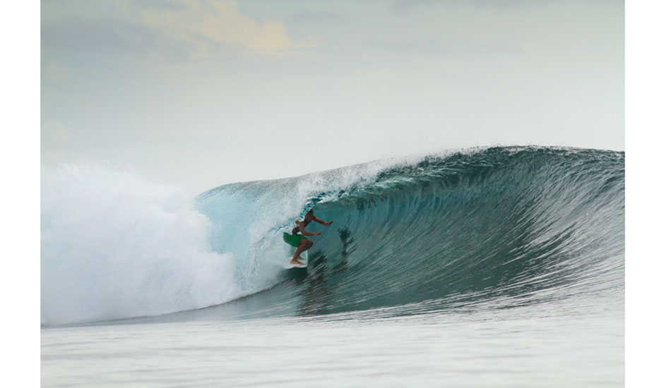 Photo:<a href=\"https://www.robsonimages.com/#!/index\">Ryan Robson</a>