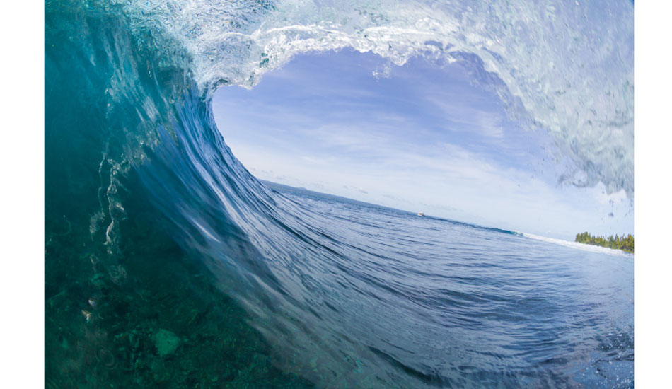 Photo:<a href=\"https://www.robsonimages.com/#!/index\">Ryan Robson</a>