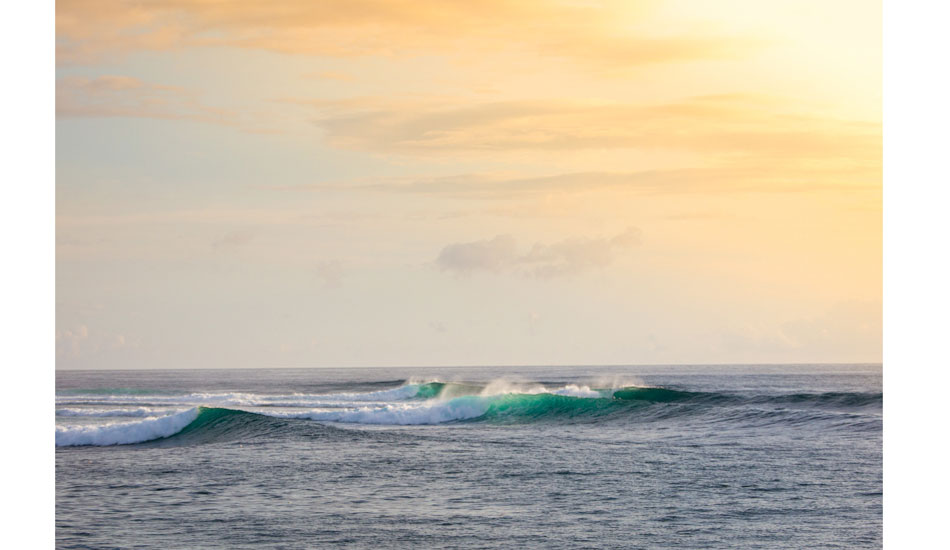 Photo:<a href=\"https://www.robsonimages.com/#!/index\">Ryan Robson</a>