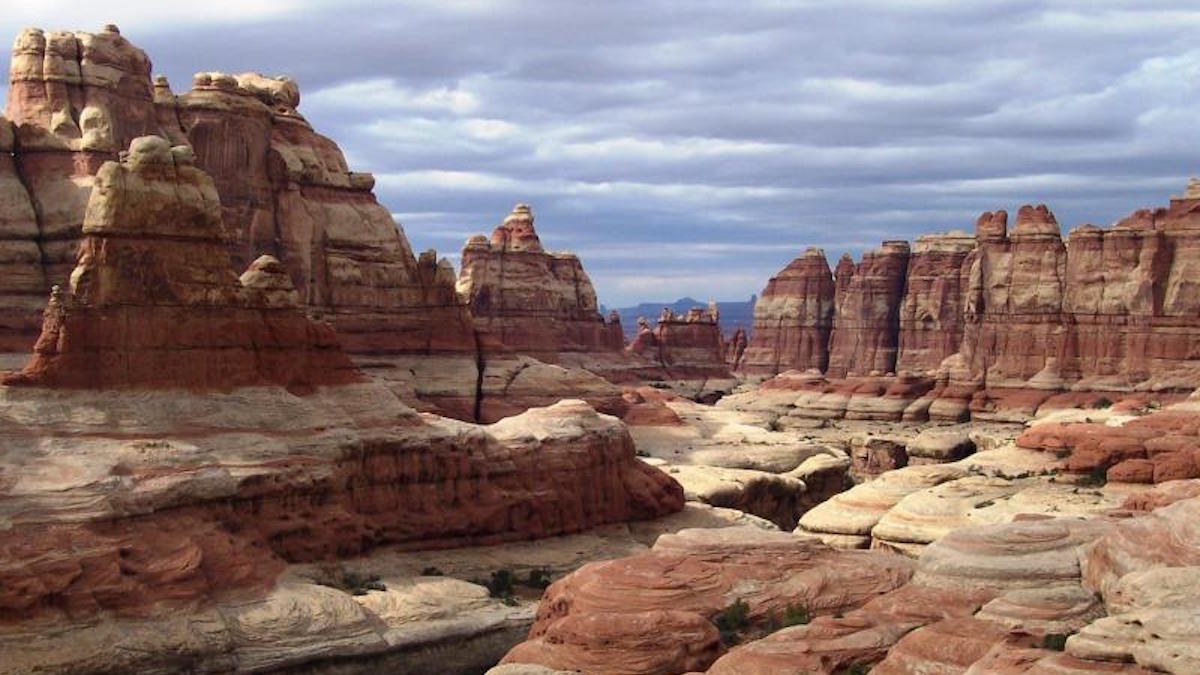 Canyonlands National Park. Photo: Gwen Gerber/NPS