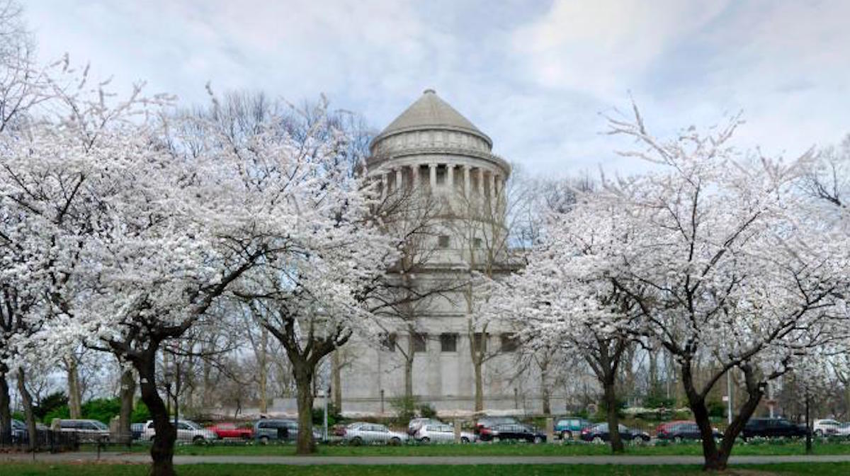 Cherry blossoms at General Grant Memorial. Photo: NPS