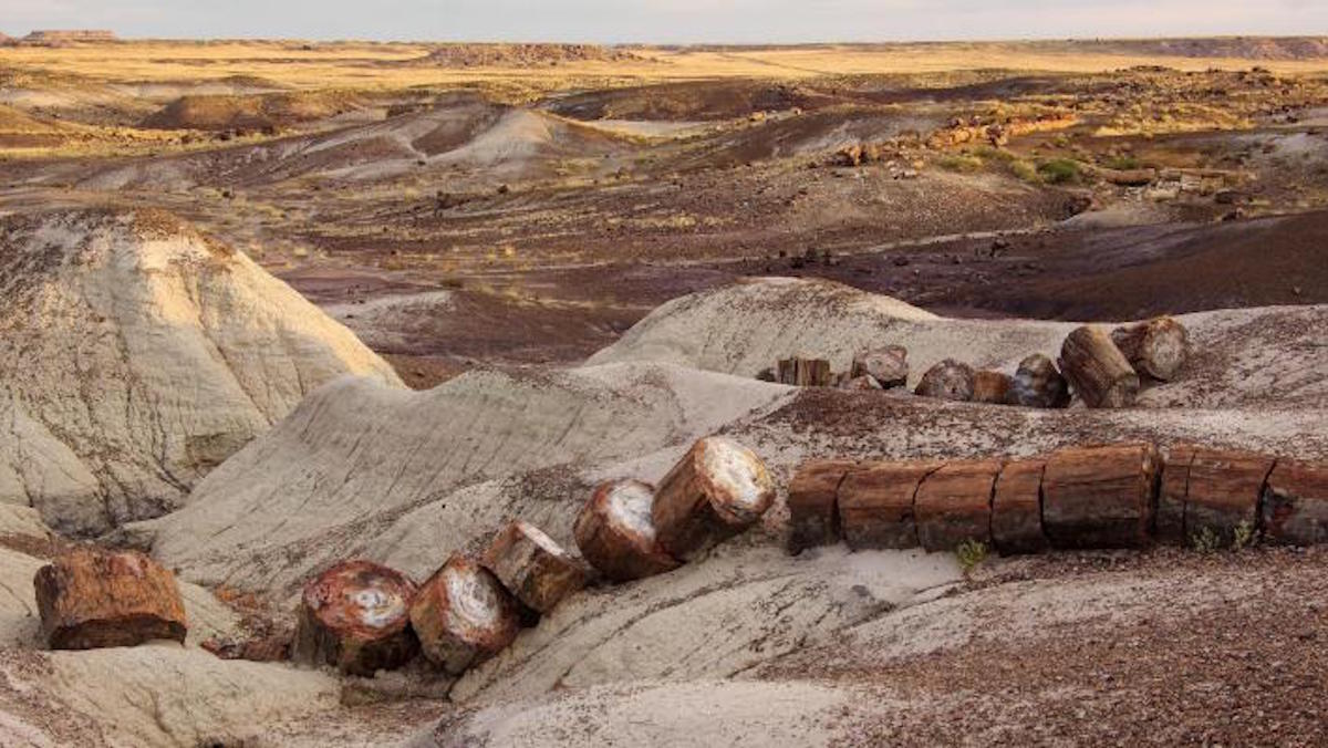 Crystal Forest. Photo: NPS