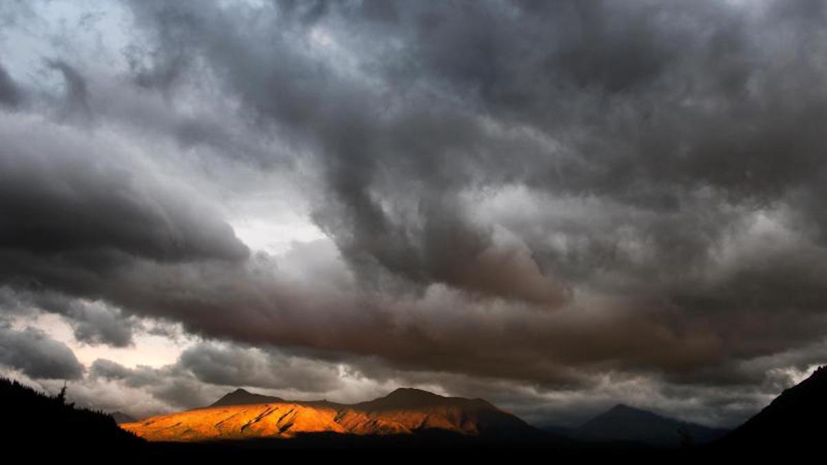 Denali National Park. Photo: Tim Rains