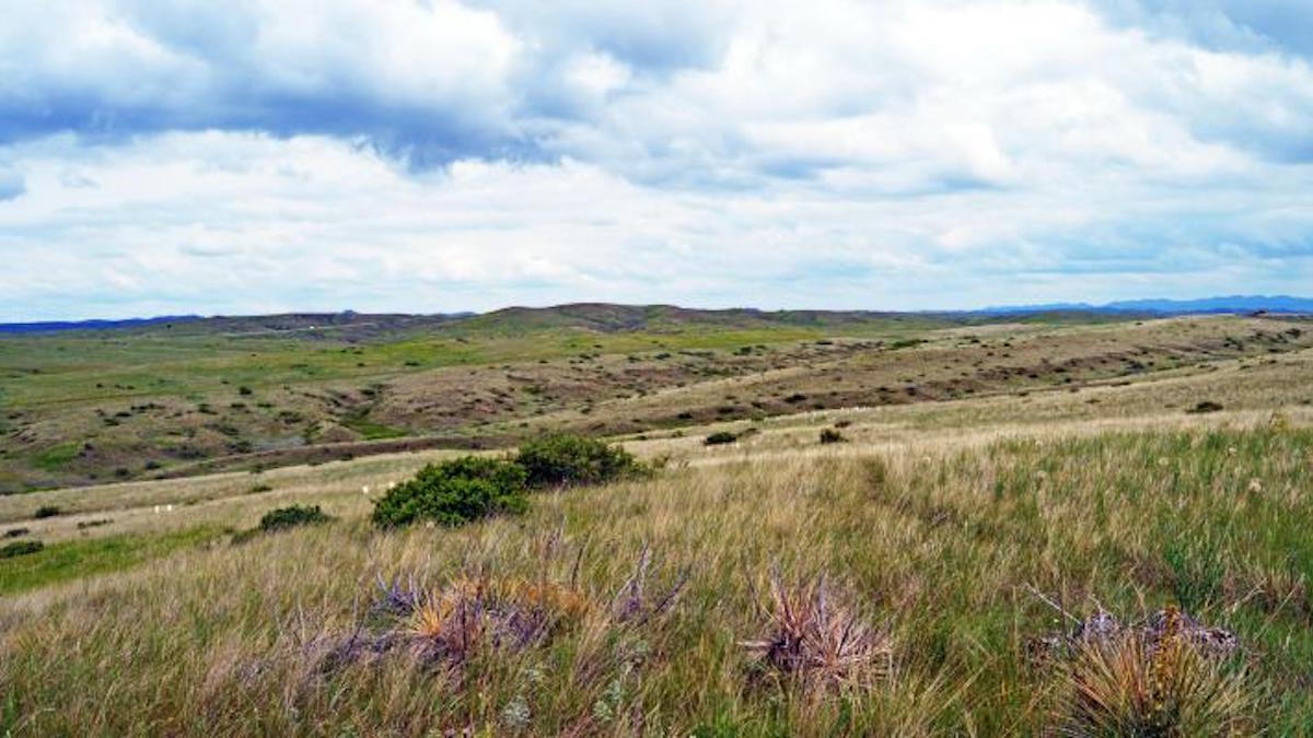 Little Bighorn battlefield. Photo: Marian Doane/NPS