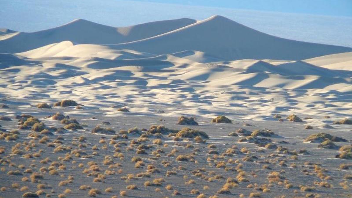 Mesquite Flat sand dunes. Photo: NPS