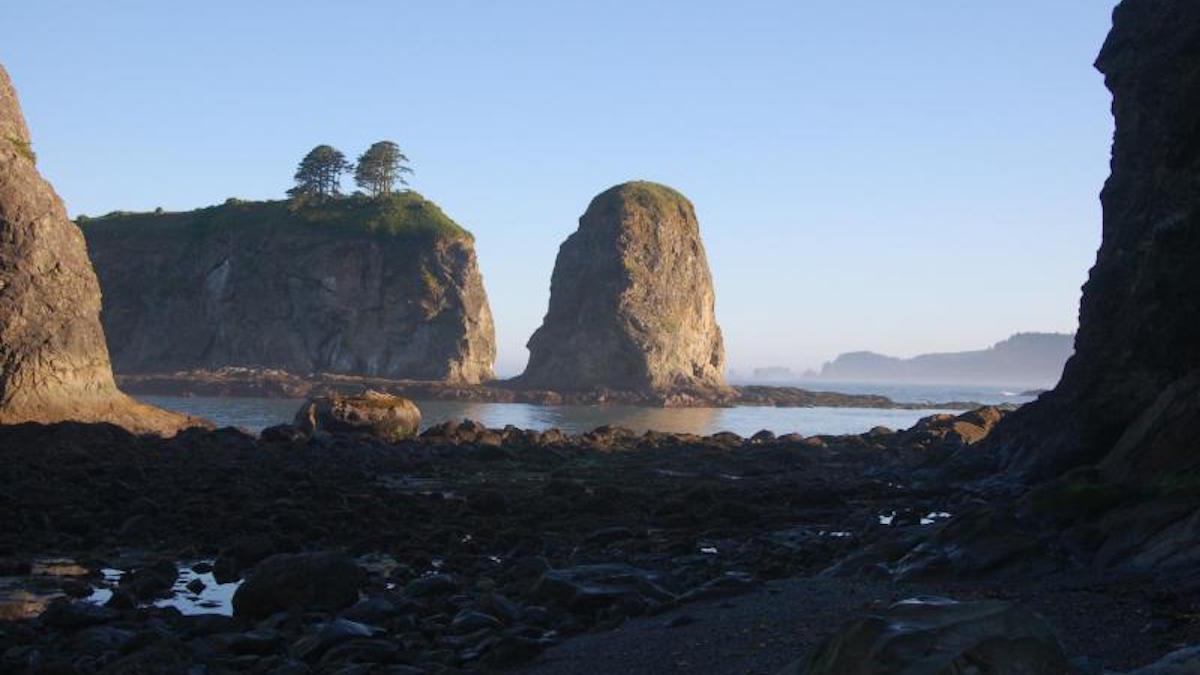 Olympic Coast sea stacks. Photo: NPS