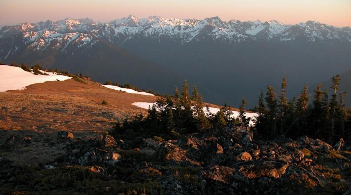 Olympic National Park. Photo: NPS