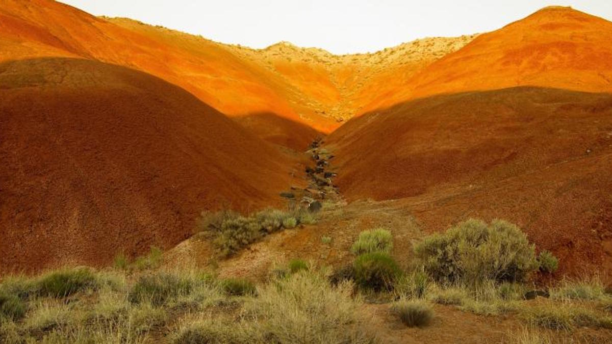 Painted desert. Photo: NPS