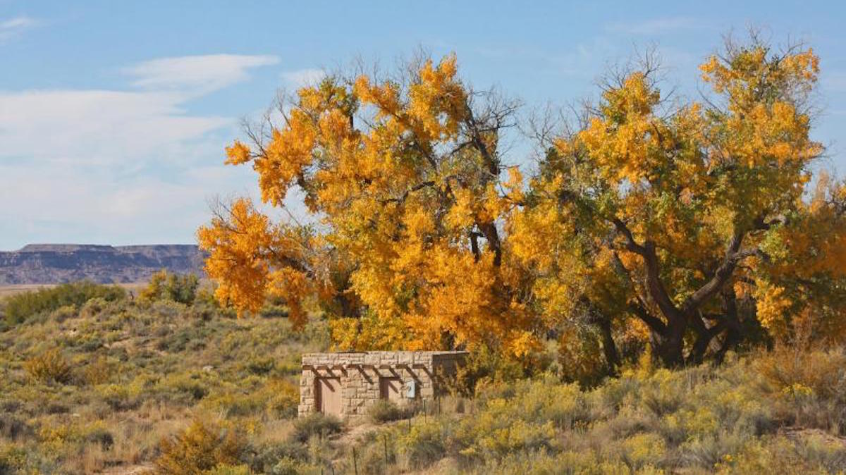 Petrified Forest National Park. Photo: NPS