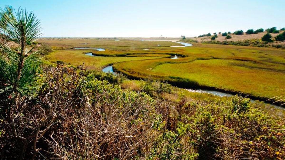 Point Reyes National Seashore. Photo: Jessica Weinberg McClosky/NPS
