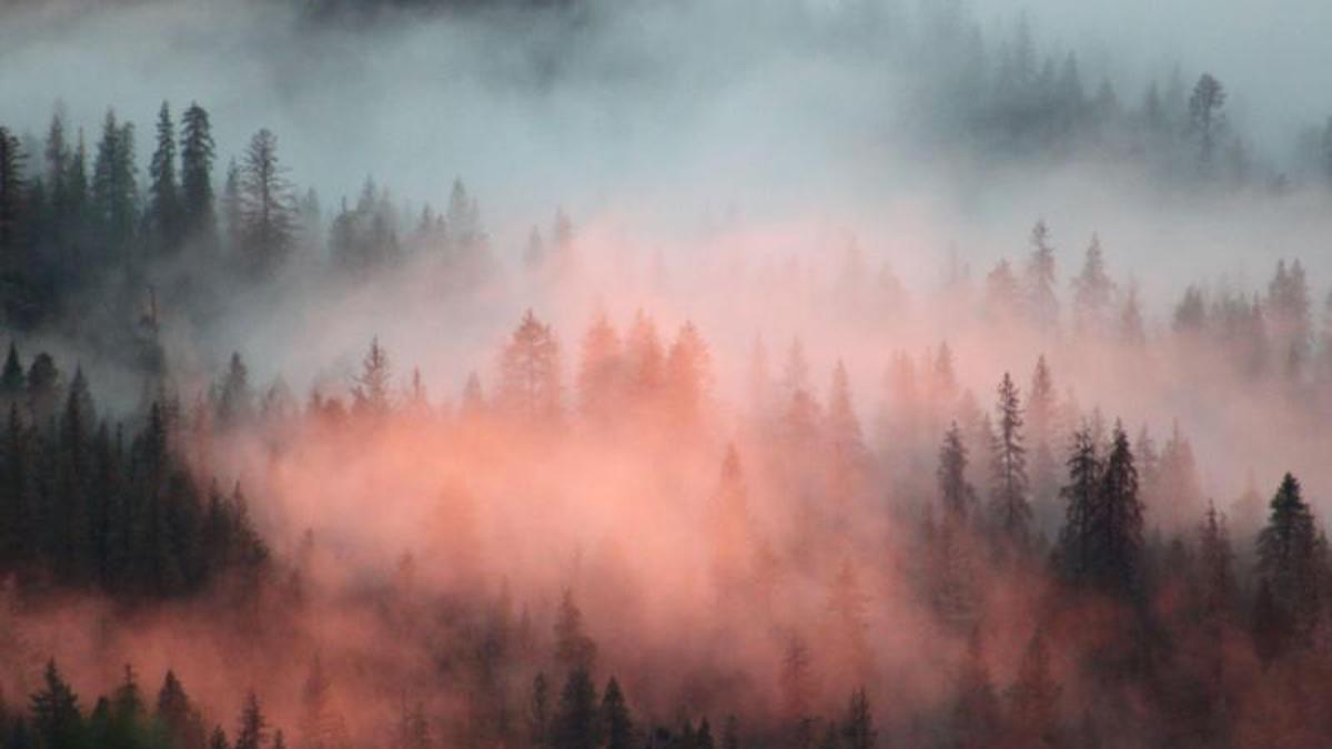 Sequioa and Kings Canyon National Parks. Photo: Rebecca Stievater/NPS