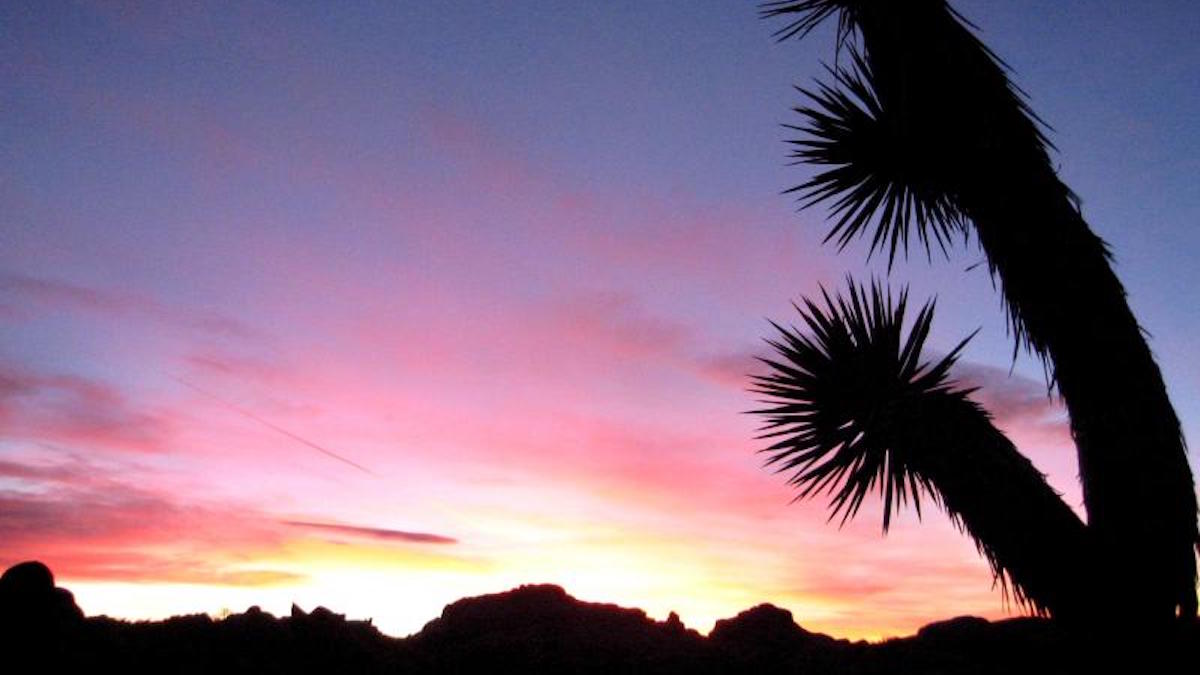 Sunset at Jumbo Rocks, Joshua Tree. Photo: NPS