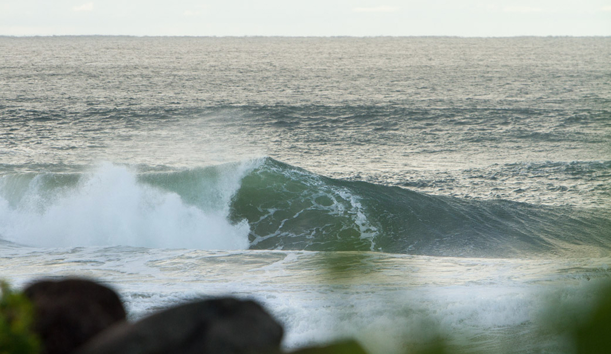 Photo:<a href=\"https://instagram.com/jackgorephoto/\"> Jack Gore</a>