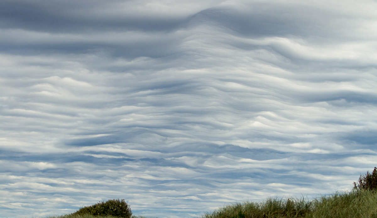 Photo:<a href=\"https://instagram.com/jackgorephoto/\"> Jack Gore</a>