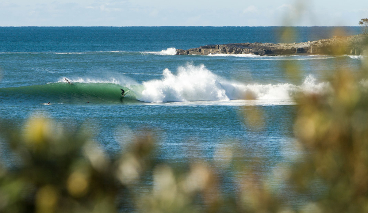 Photo:<a href=\"https://instagram.com/jackgorephoto/\"> Jack Gore</a>