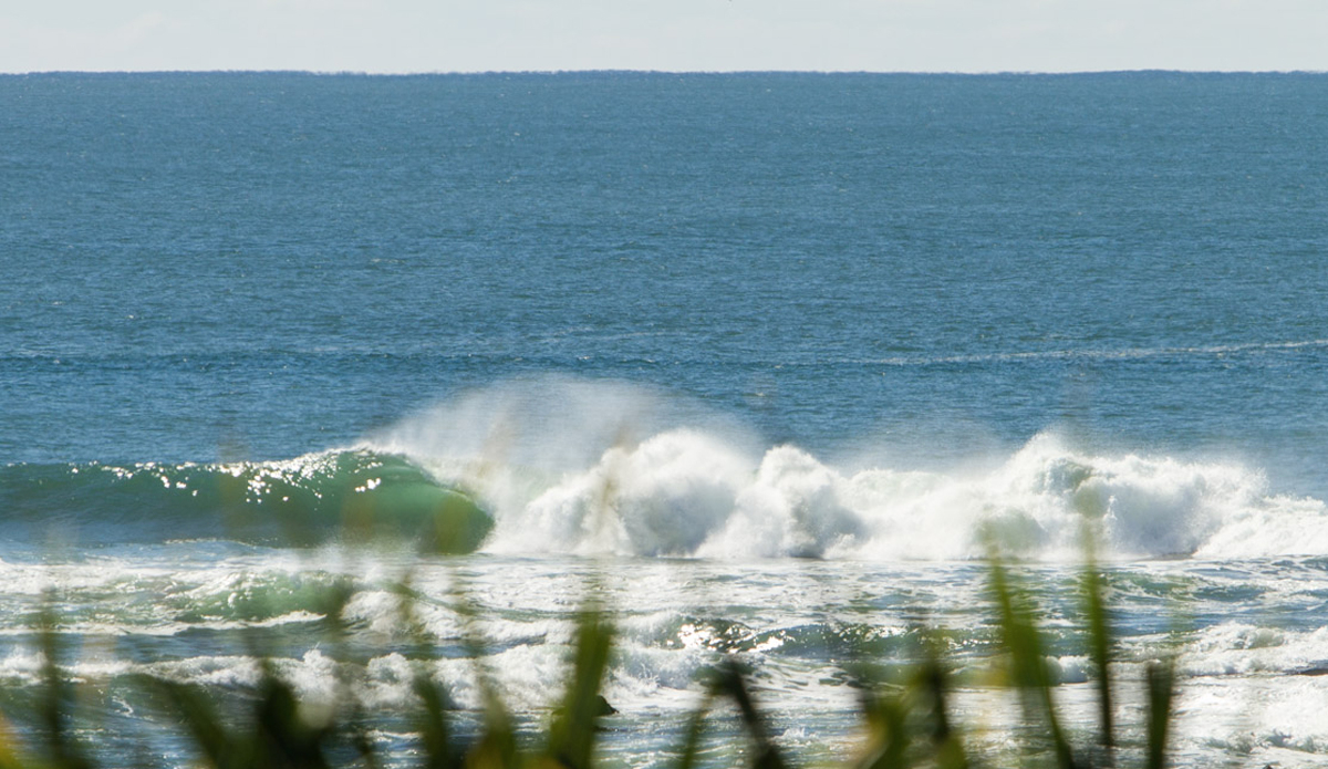 Photo:<a href=\"https://instagram.com/jackgorephoto/\"> Jack Gore</a>