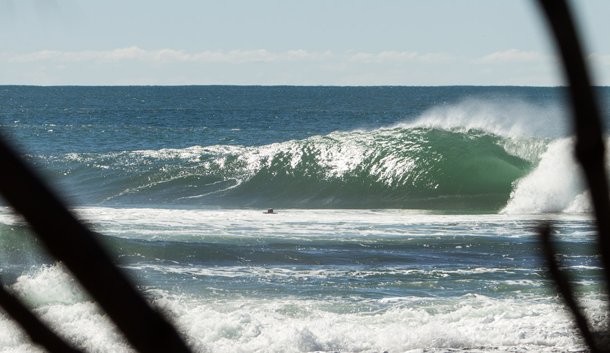 Photo:<a href=\"https://instagram.com/jackgorephoto/\"> Jack Gore</a>