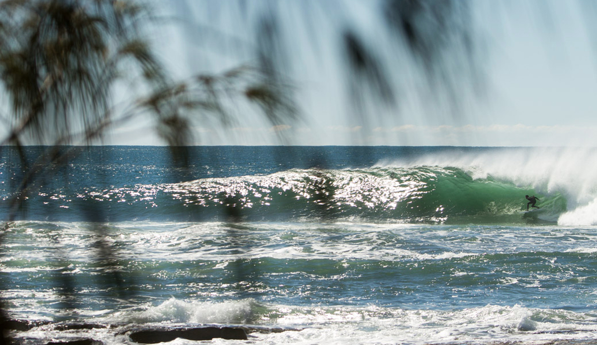 Photo:<a href=\"https://instagram.com/jackgorephoto/\"> Jack Gore</a>