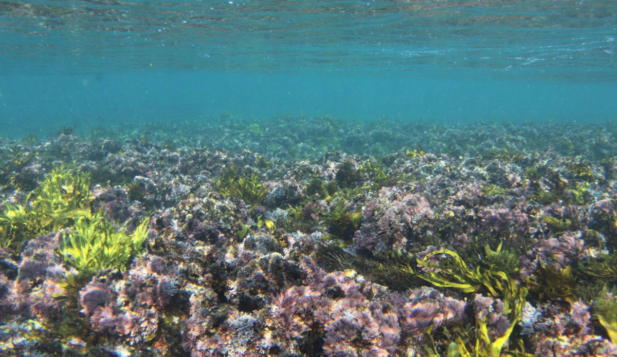 Photo: <a href=\"https://www.facebook.com/pages/Riley-Edwards-Photography/1433943046840501?fref=nf\">Riley Edwards</a>