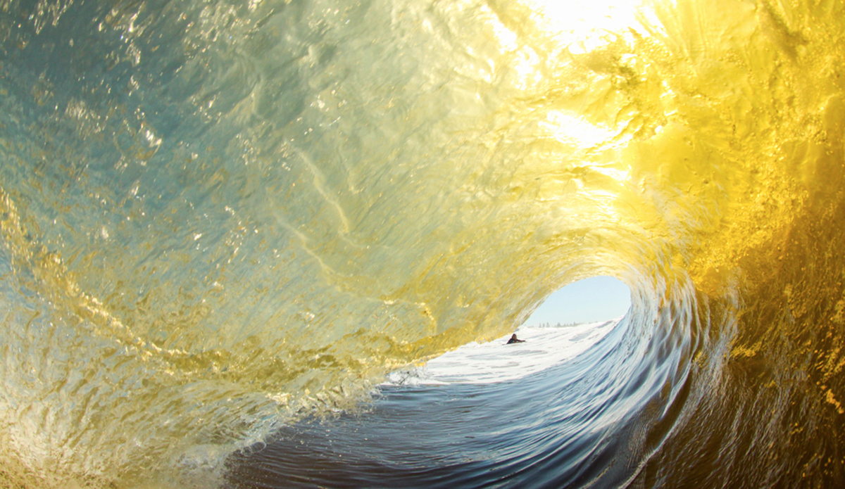 Photo: <a href=\"https://www.facebook.com/pages/Riley-Edwards-Photography/1433943046840501?fref=nf\">Riley Edwards</a>