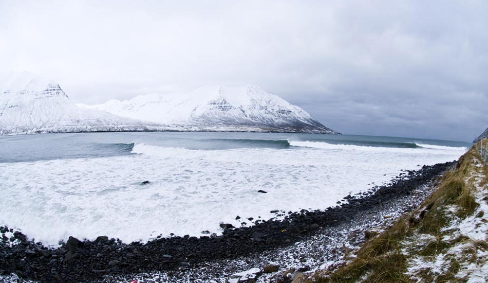 Olas. Image: <a href=\"https://www.timnunn.co.uk\" target=\"_blank\">Nunn</a>