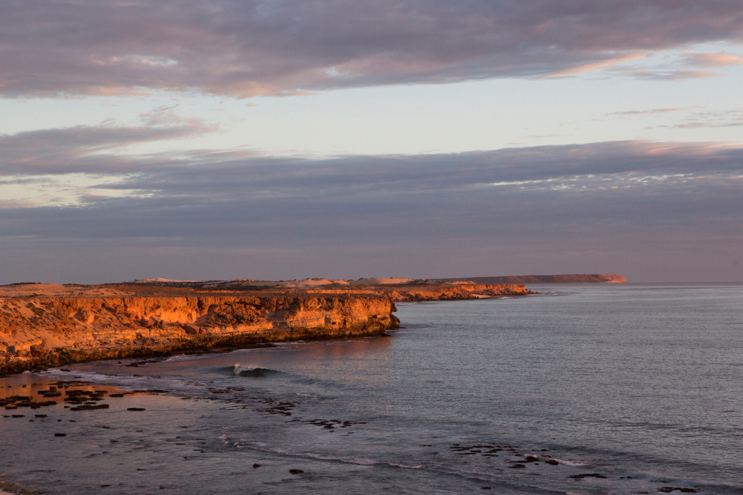 Photo: <a href=\"https://www.nickwhitephoto.com/\">Nick White</a>