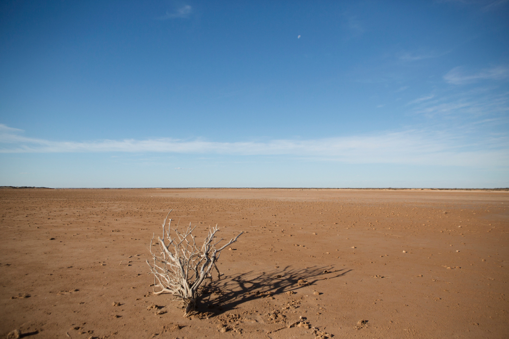 Photo: <a href=\"https://www.nickwhitephoto.com/\">Nick White</a>