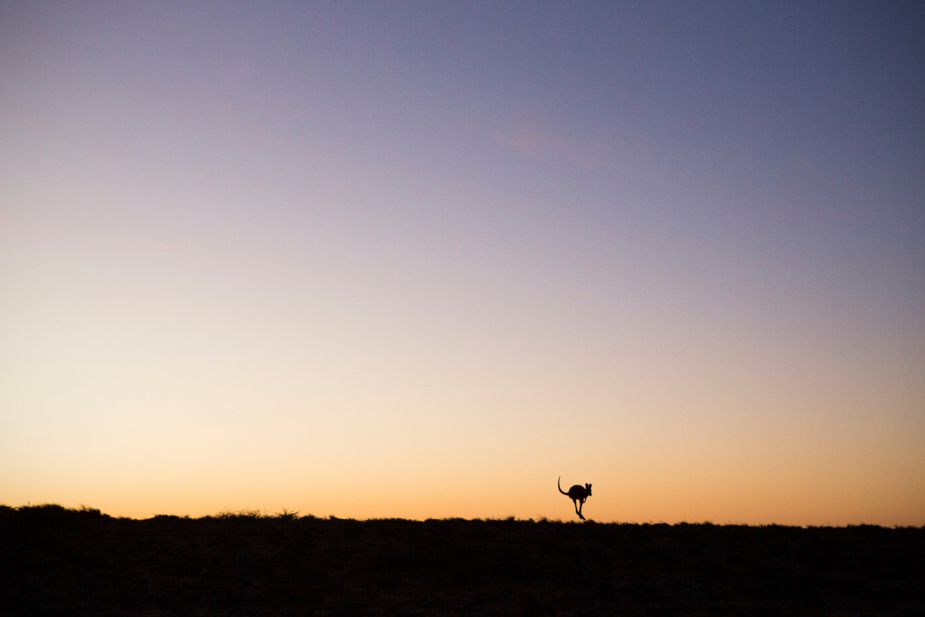 Photo: <a href=\"https://www.nickwhitephoto.com/\">Nick White</a>