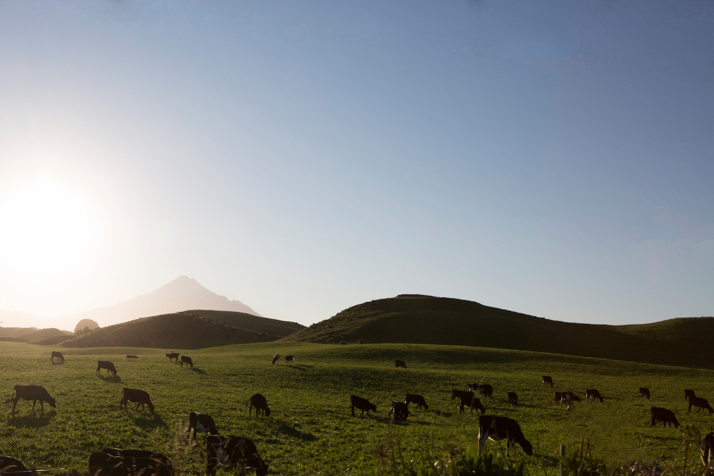 Photo: <a href=\"https://www.nickwhitephoto.com/\">Nick White</a>