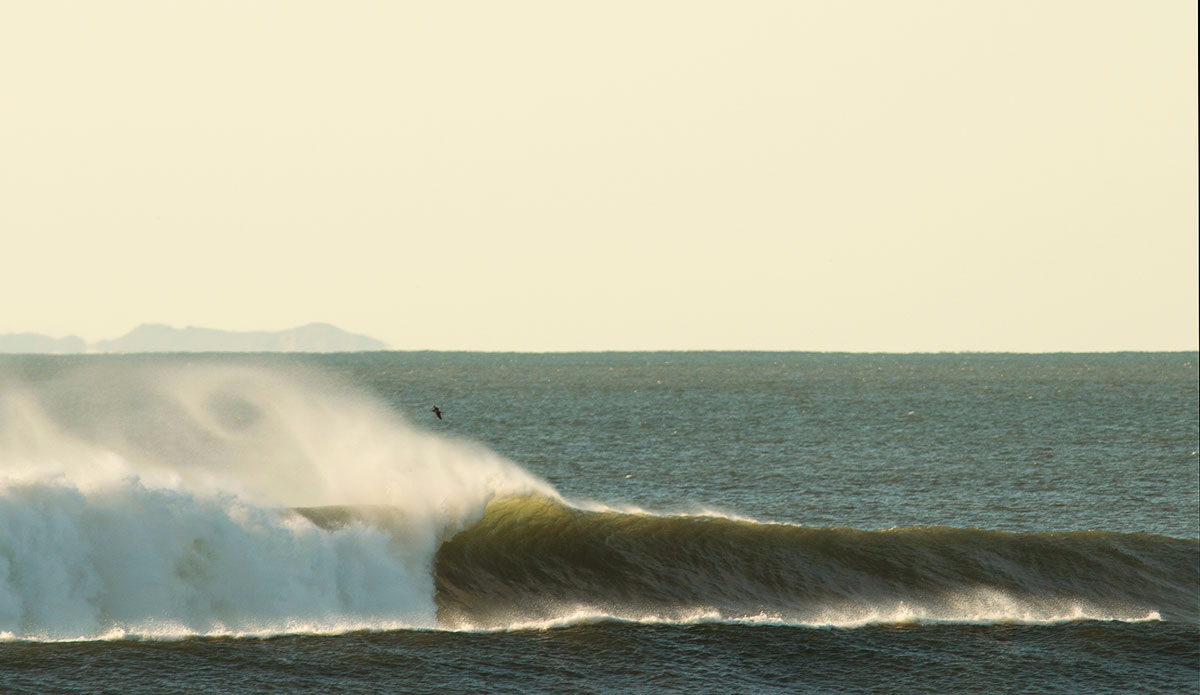 Photo: <a href=\"https://www.pedrobalaphotography.com/\">Pedro Bala</a>