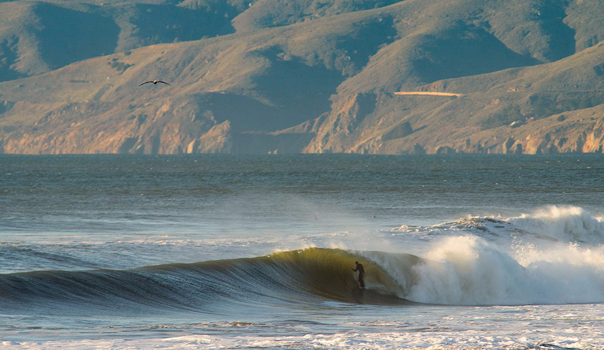 Photo: <a href=\"https://www.pedrobalaphotography.com/\">Pedro Bala</a>