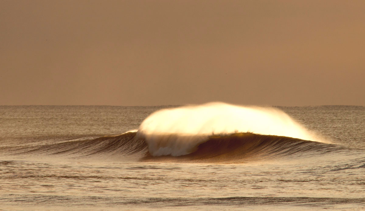 Photo: <a href=\"https://www.pedrobalaphotography.com/\">Pedro Bala</a>