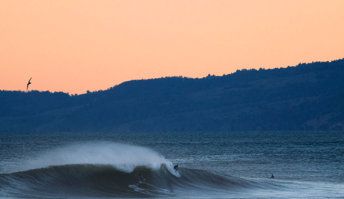 Photo: <a href=\"https://www.pedrobalaphotography.com/\">Pedro Bala</a>