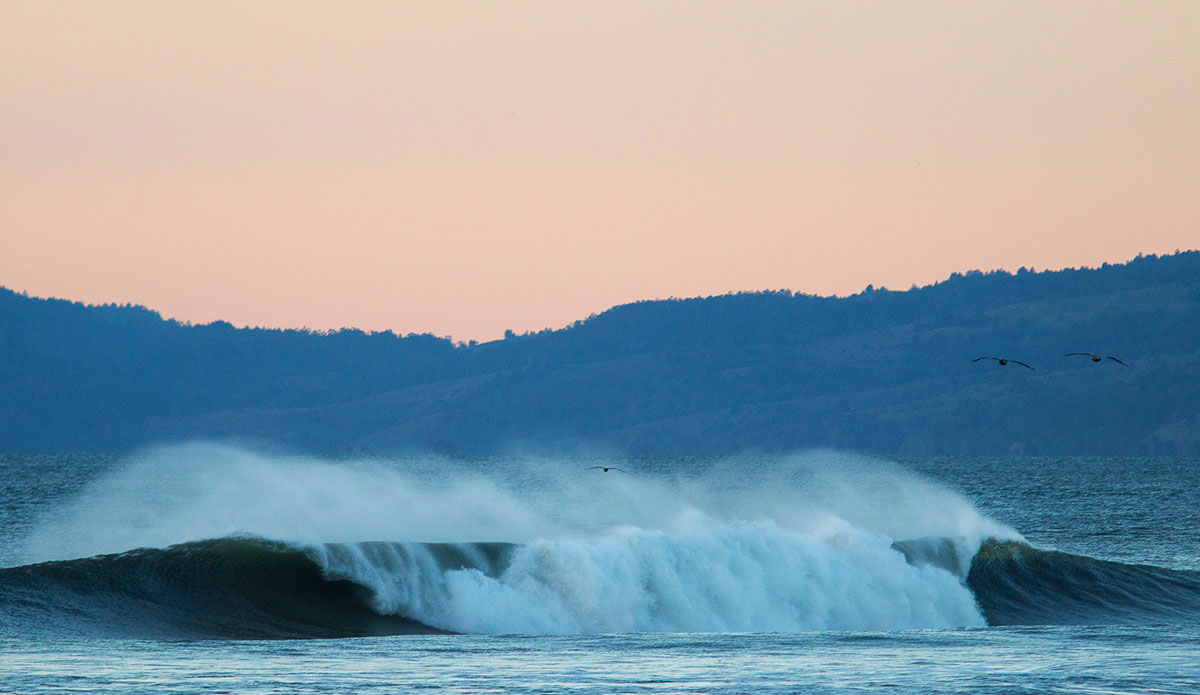 Photo: <a href=\"https://www.pedrobalaphotography.com/\">Pedro Bala</a>