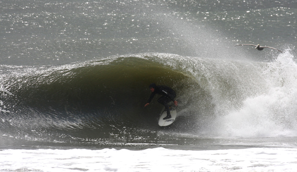 Andrew Meyer. Virginia Beach rider Andrew Meyer snags one right out from under this pelican-New Inlet. Image: Mickey McCarthy