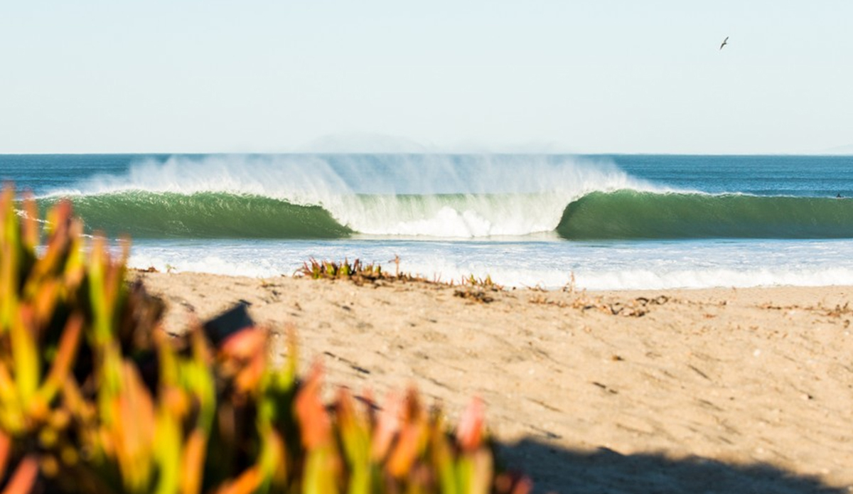 Photo: <a href=\"https://wndrs.com/\">Wonders via Dbrit93</a>